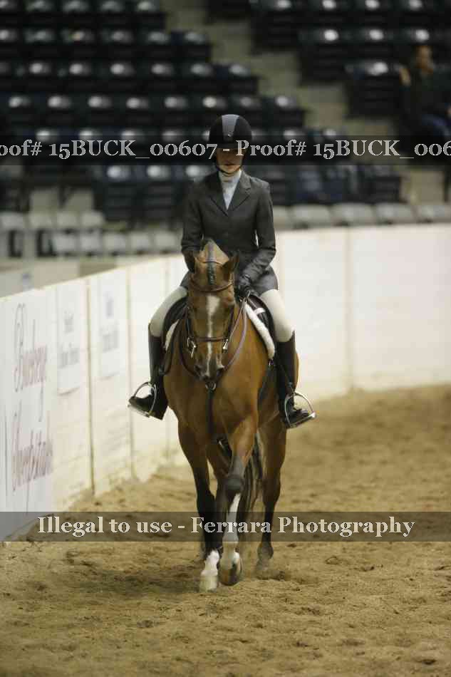 Proof 15BUCK_00607