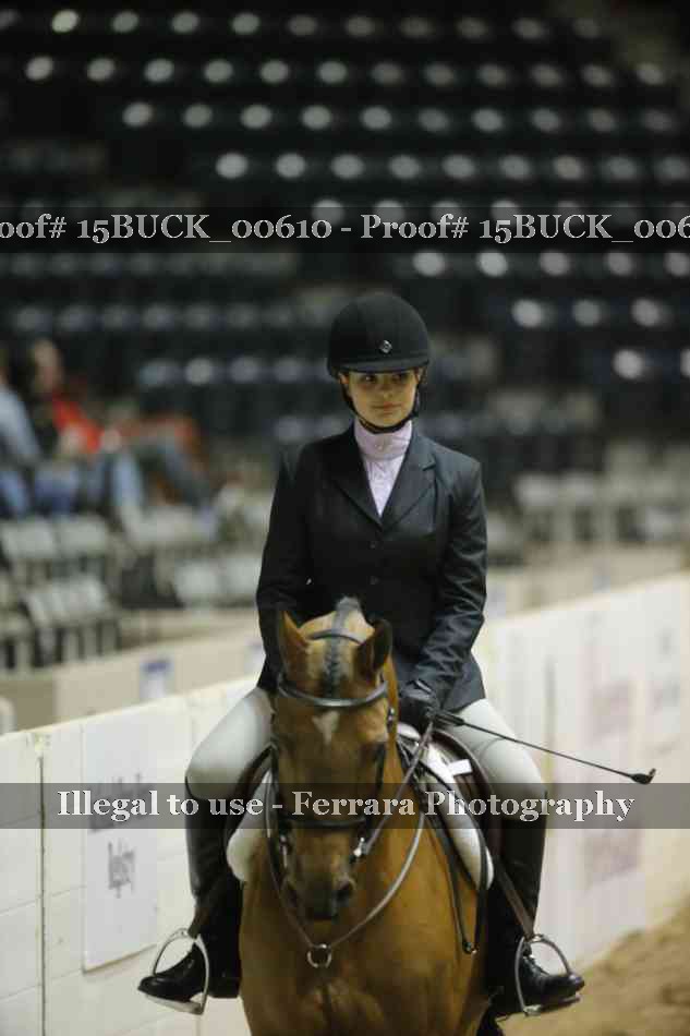 Proof 15BUCK_00610
