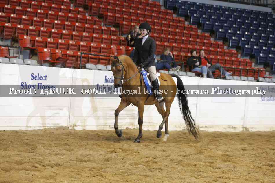 Proof 15BUCK_00611
