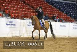 15BUCK_00611 proof
