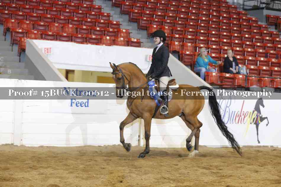 Proof 15BUCK_00612