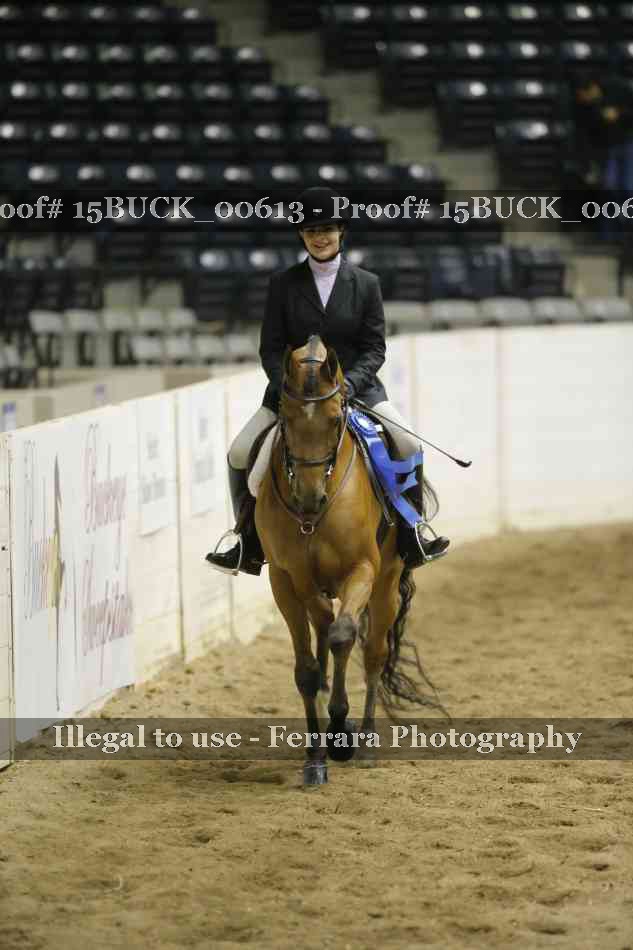 Proof 15BUCK_00613