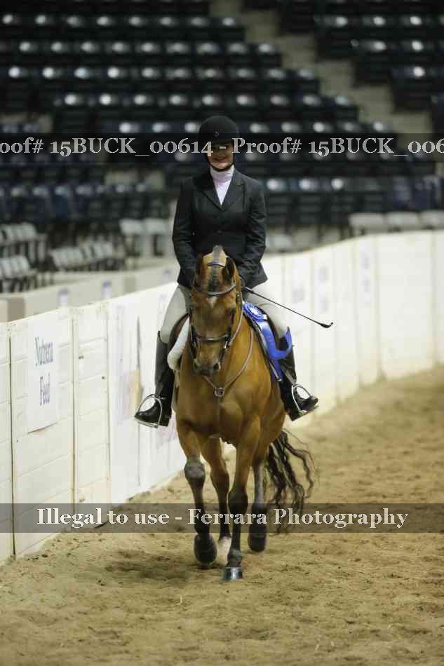 Proof 15BUCK_00614