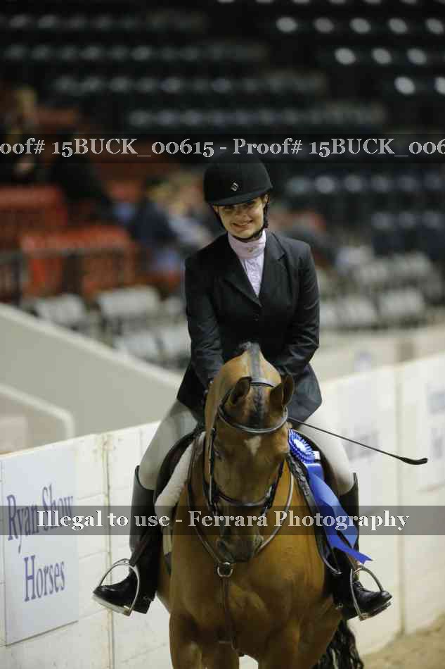 Proof 15BUCK_00615