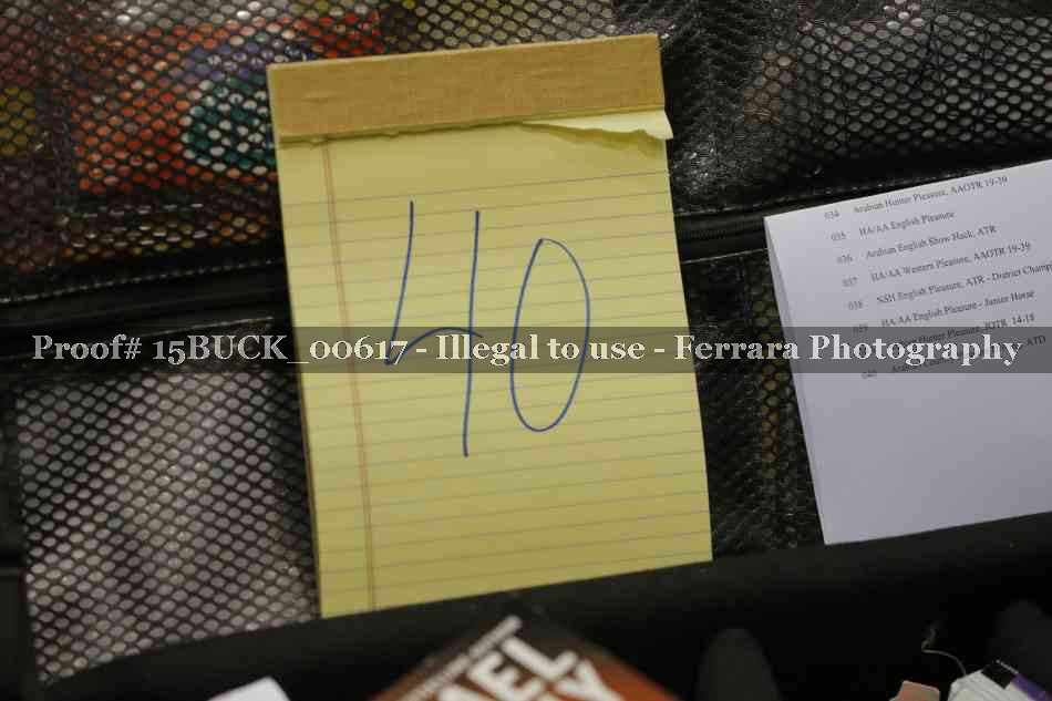 Proof 15BUCK_00617