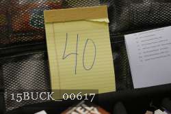 15BUCK_00617 proof