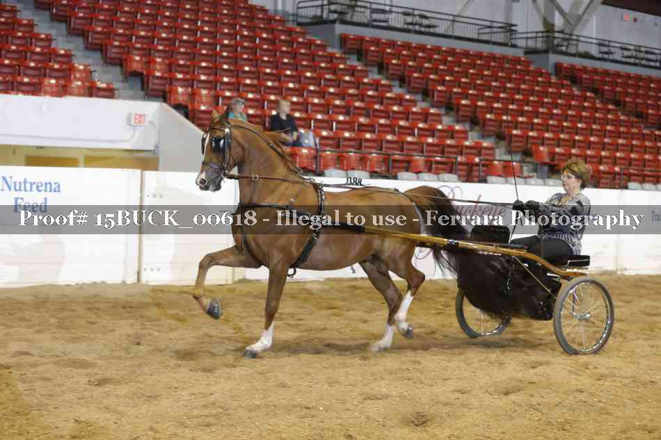 Proof 15BUCK_00618