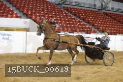 15BUCK_00618 proof