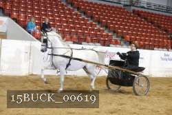 15BUCK_00619 proof