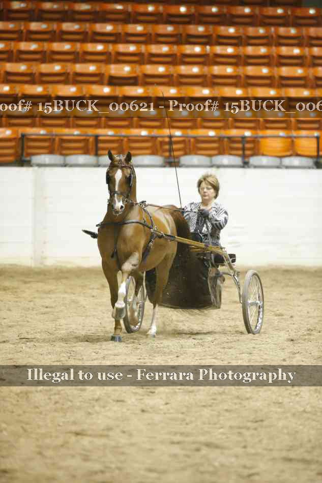 Proof 15BUCK_00621