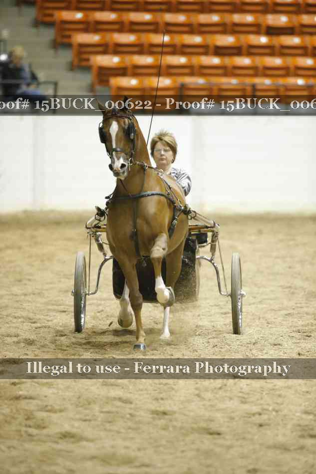 Proof 15BUCK_00622