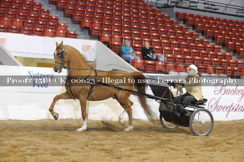 Proof 15BUCK_00623