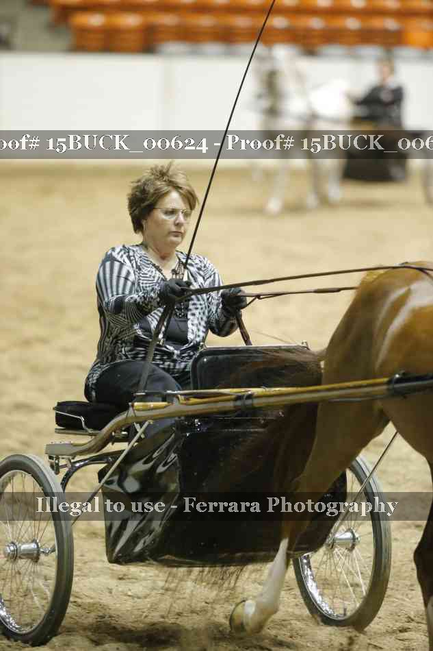 Proof 15BUCK_00624