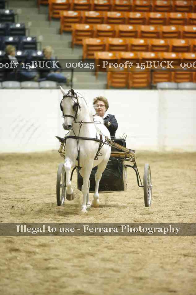 Proof 15BUCK_00625