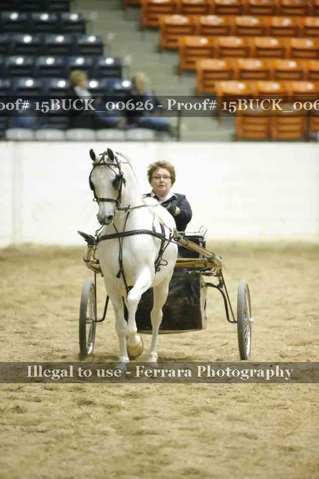Proof 15BUCK_00626