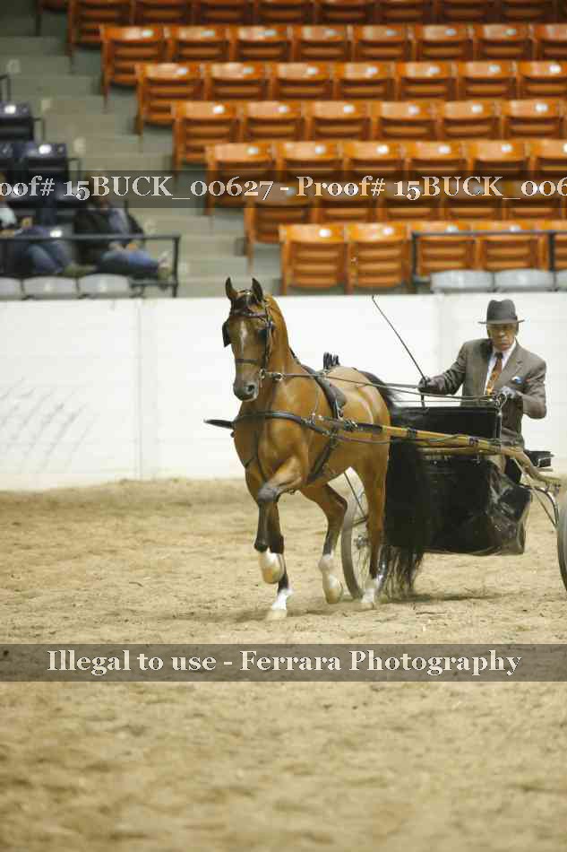 Proof 15BUCK_00627