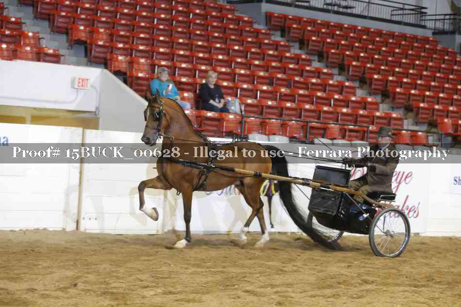 Proof 15BUCK_00628