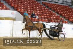 15BUCK_00628 proof
