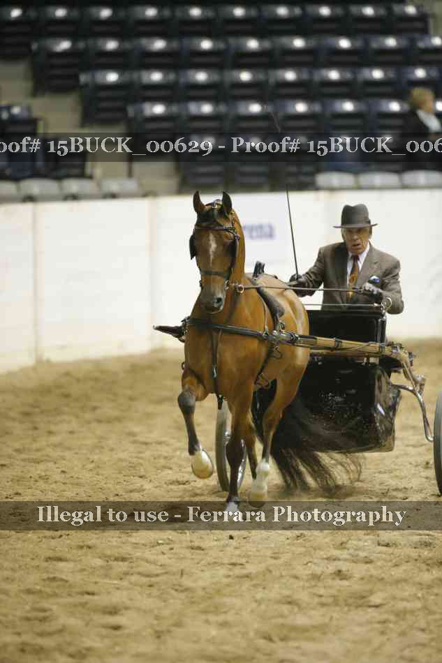 Proof 15BUCK_00629