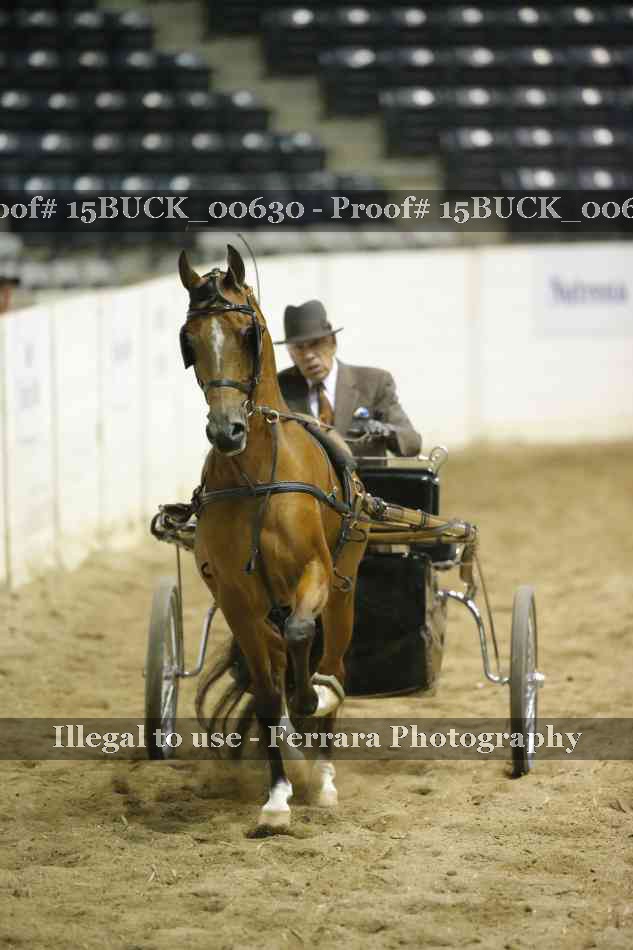 Proof 15BUCK_00630