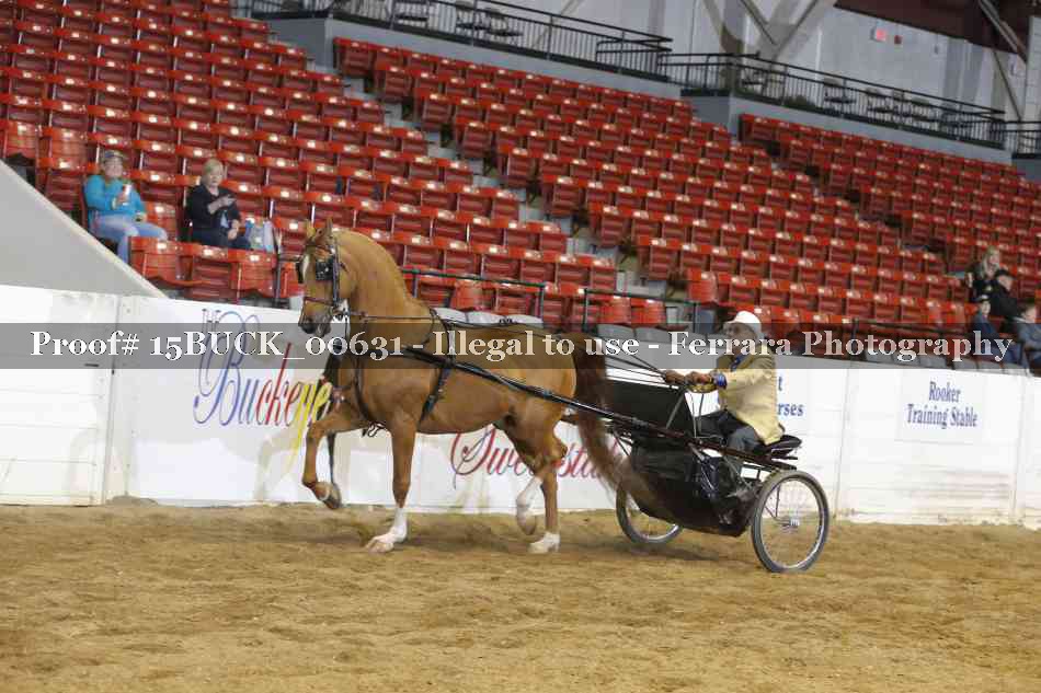 Proof 15BUCK_00631