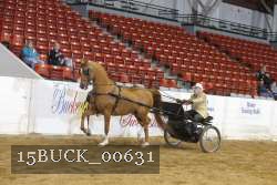 15BUCK_00631 proof