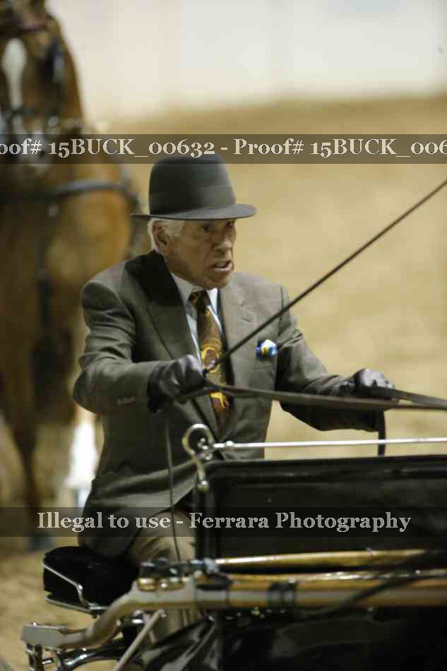 Proof 15BUCK_00632