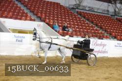 15BUCK_00633 proof