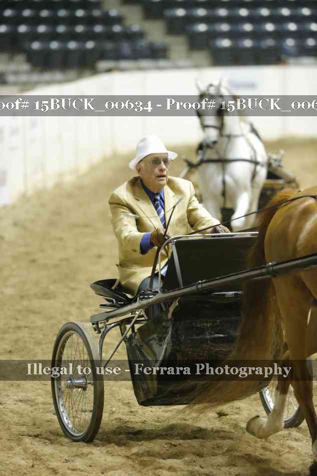 Proof 15BUCK_00634