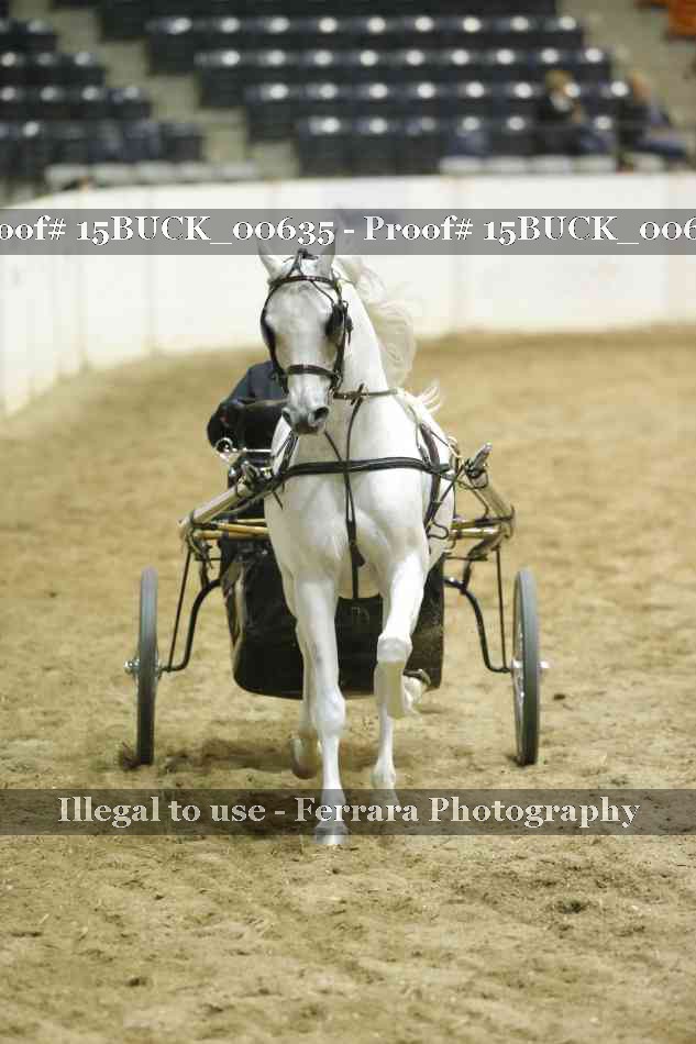 Proof 15BUCK_00635