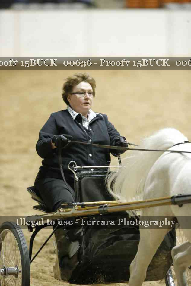 Proof 15BUCK_00636