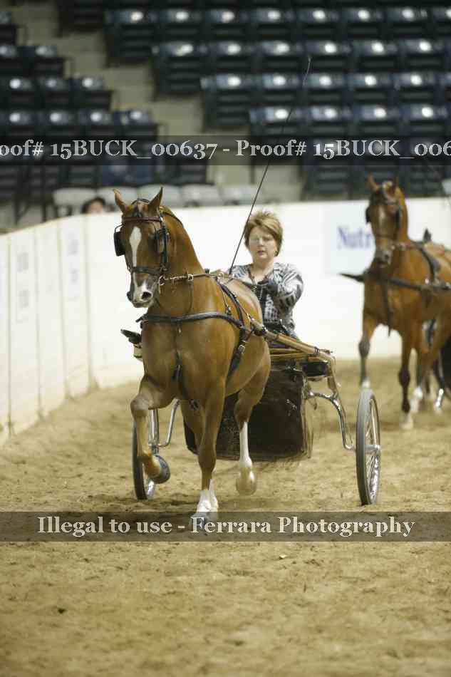 Proof 15BUCK_00637