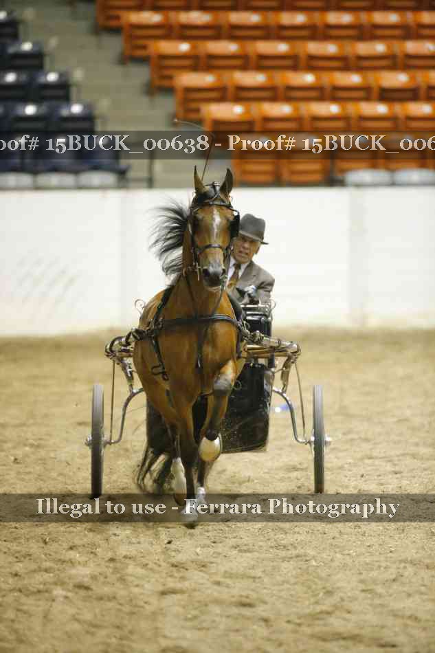 Proof 15BUCK_00638