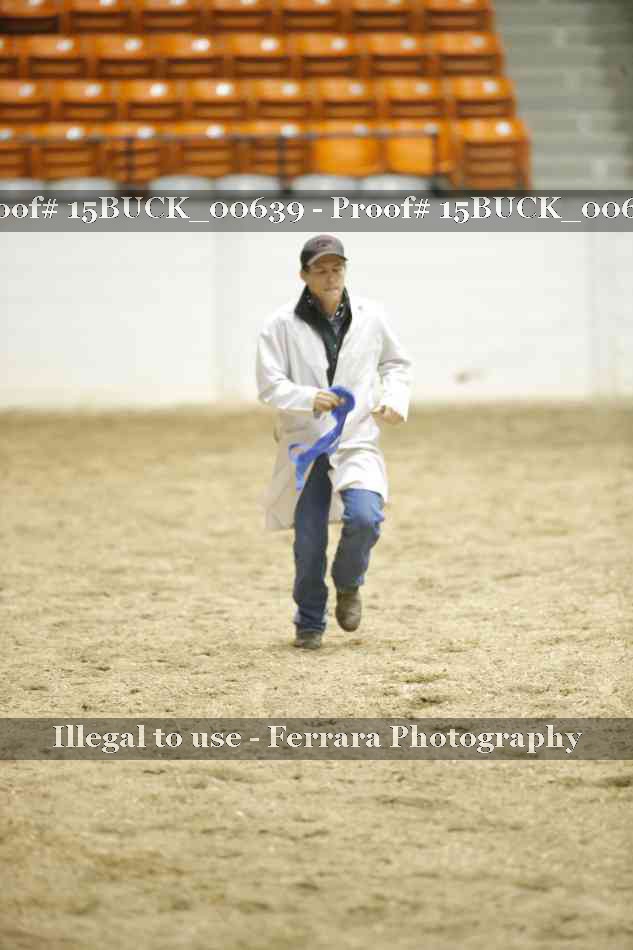 Proof 15BUCK_00639