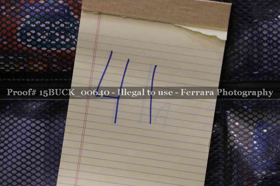 Proof 15BUCK_00640