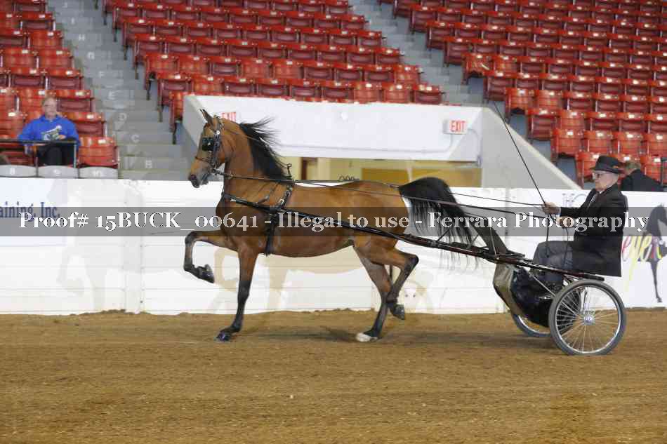 Proof 15BUCK_00641
