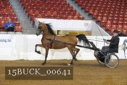 15BUCK_00641 proof