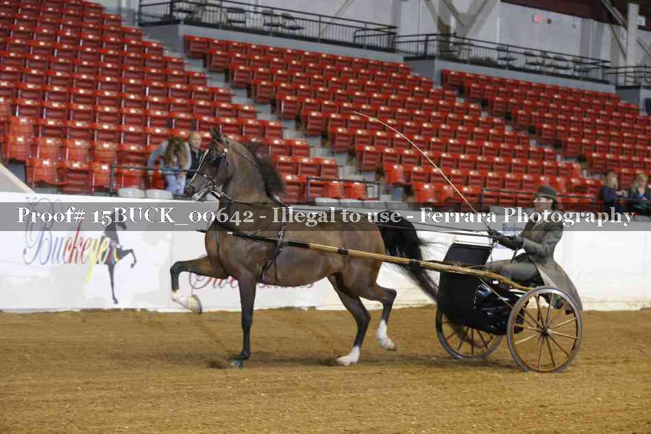 Proof 15BUCK_00642