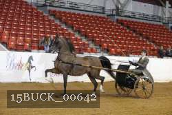 15BUCK_00642 proof