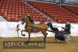 15BUCK_00643 proof