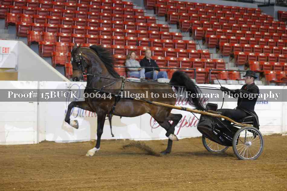 Proof 15BUCK_00644