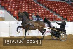 15BUCK_00644 proof