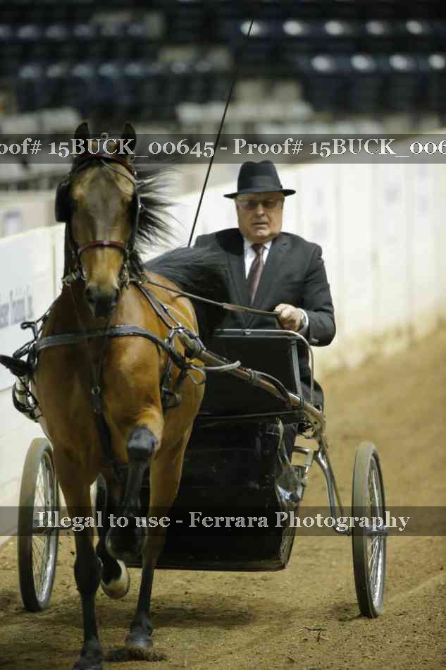 Proof 15BUCK_00645