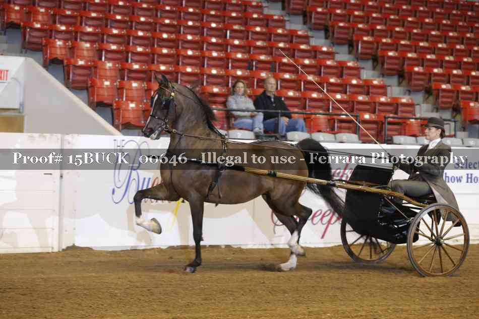 Proof 15BUCK_00646