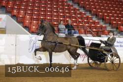 15BUCK_00646 proof