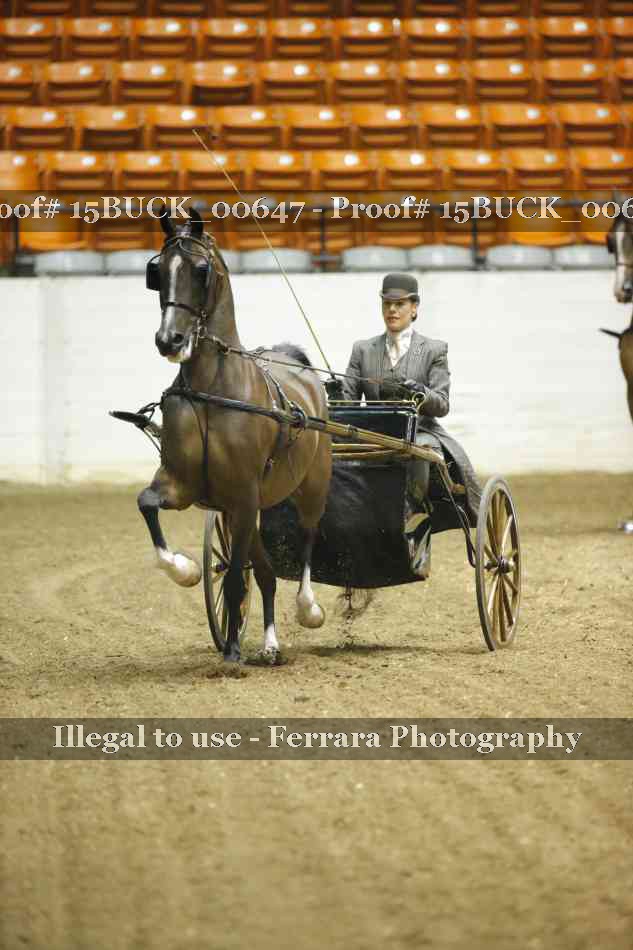 Proof 15BUCK_00647