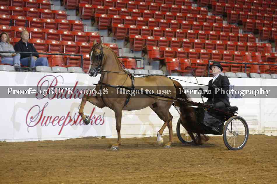 Proof 15BUCK_00648