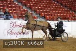 15BUCK_00648 proof