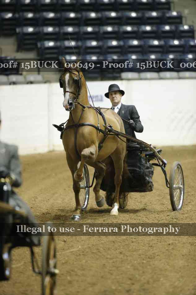 Proof 15BUCK_00649