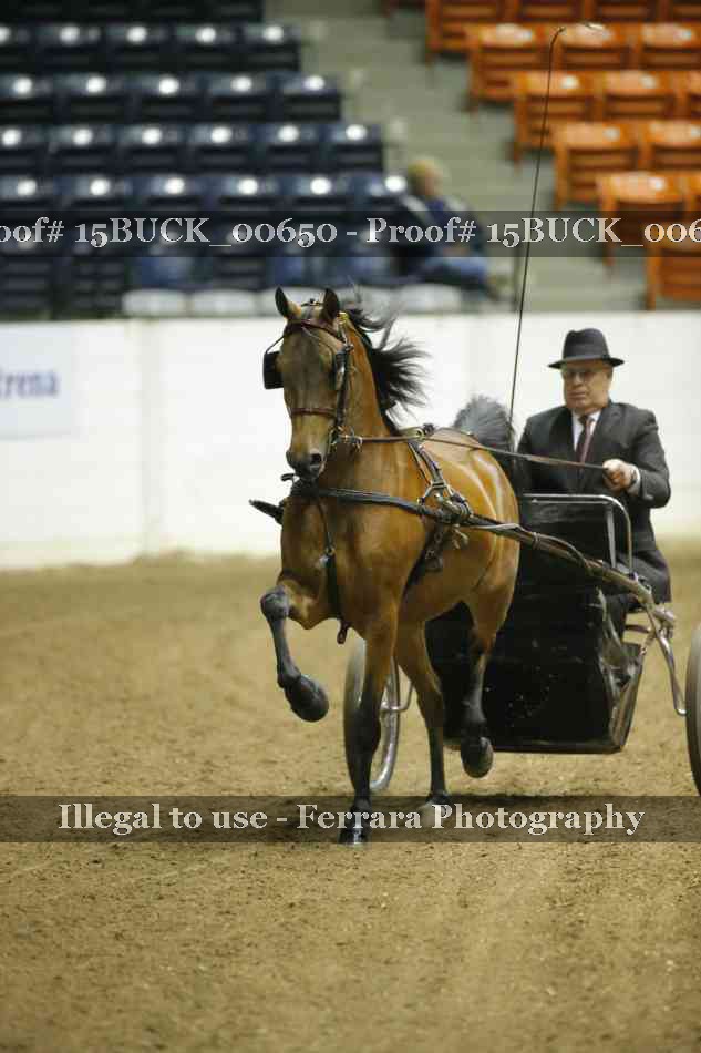 Proof 15BUCK_00650